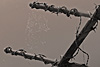 besinnliches