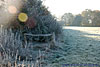 frost