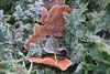 frost