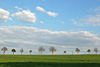 fruehling