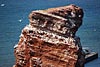 helgoland