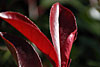herbst 2