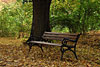 herbst 2