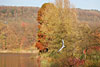 herbst 2