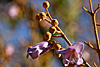 herbst 2