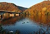 herbst
