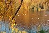herbst