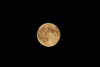 mond