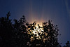 mond