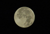 mond