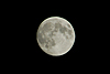 mond