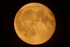 mond