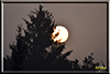 mond