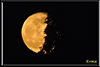 mond