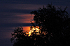 mond