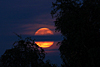 mond