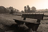 nebel