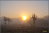 nebel