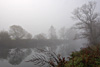 nebel
