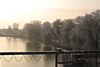 nebel