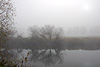 nebel