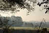 nebel