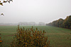 nebel