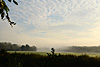 nebel