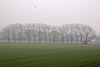 nebel