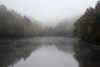 nebel
