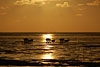 nordsee