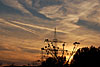 sonne
