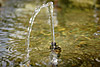 wasser