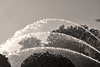 wasser
