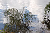 wasser