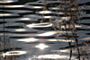 wasser