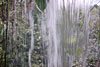 wasser