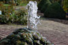 wasser