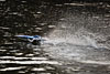wasser
