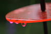 wasser